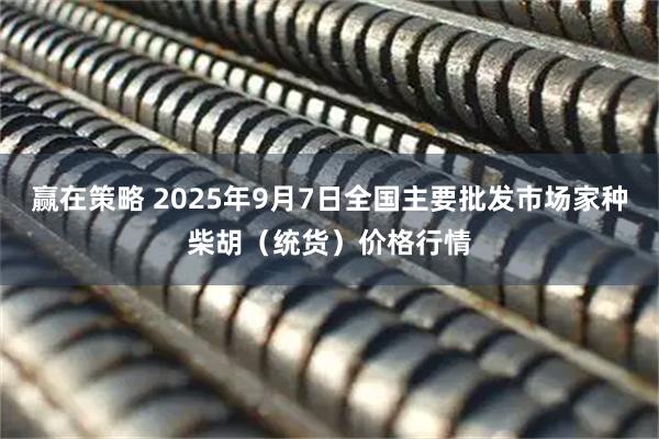 赢在策略 2025年9月7日全国主要批发市场家种柴胡（统货）价格行情
