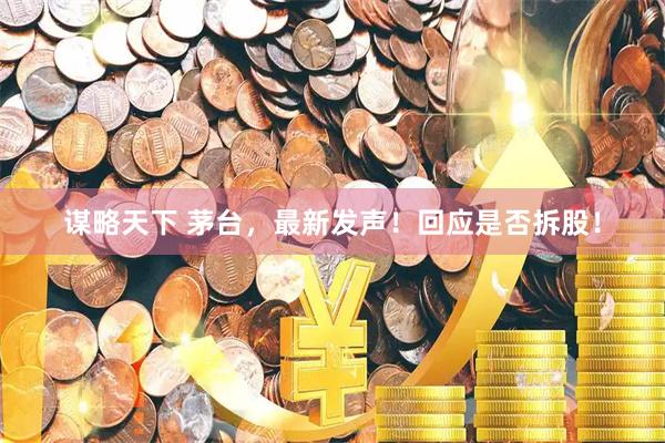 谋略天下 茅台，最新发声！回应是否拆股！
