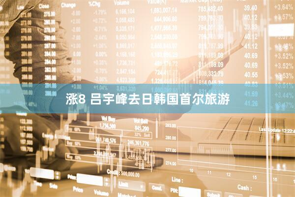 涨8 吕宇峰去日韩国首尔旅游