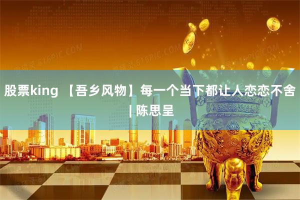 股票king 【吾乡风物】每一个当下都让人恋恋不舍 | 陈思呈