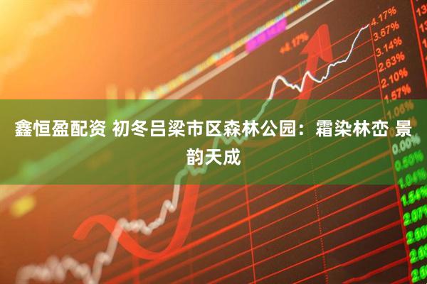 鑫恒盈配资 初冬吕梁市区森林公园：霜染林峦 景韵天成