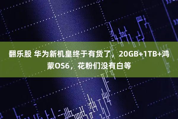 翻乐股 华为新机皇终于有货了，20GB+1TB+鸿蒙OS6，花粉们没有白等
